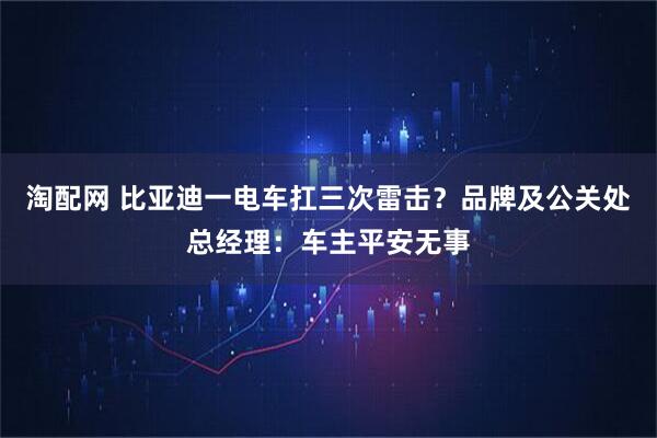 淘配网 比亚迪一电车扛三次雷击？品牌及公关处总经理：车主平安无事