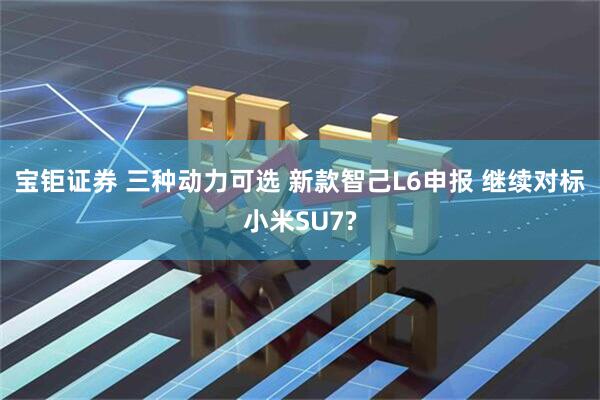 宝钜证券 三种动力可选 新款智己L6申报 继续对标小米SU7?