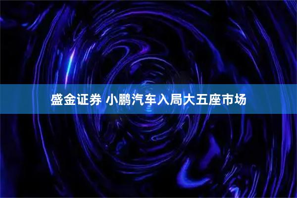 盛金证券 小鹏汽车入局大五座市场