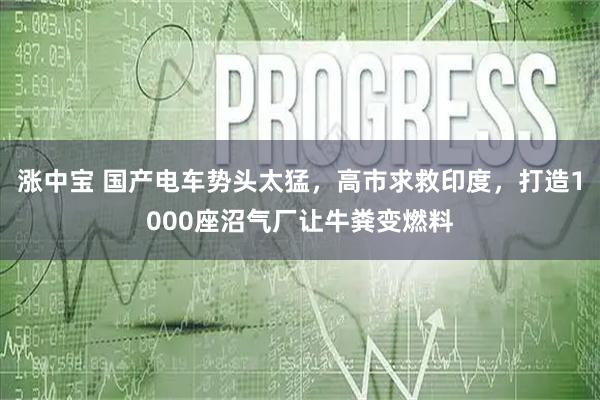 涨中宝 国产电车势头太猛，高市求救印度，打造1000座沼气厂让牛粪变燃料